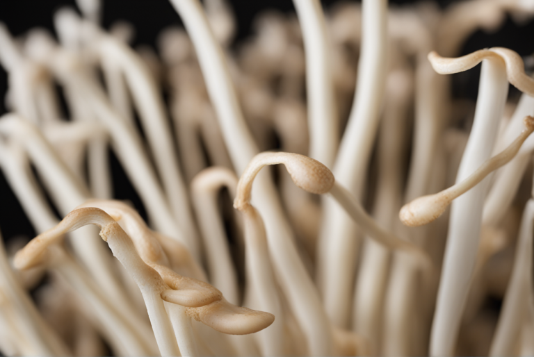 can chickens eat enoki mushrooms