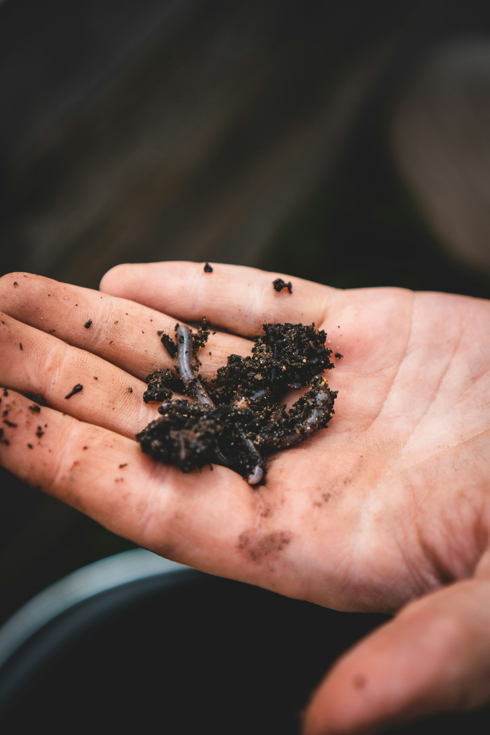 An open hand holding a small clump of dark, crumbly compost with thin grey-pink worms curled through it