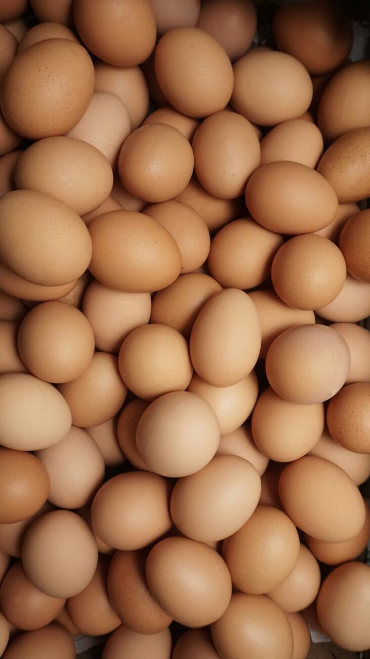 A box packed full of brown eggs in many different shades